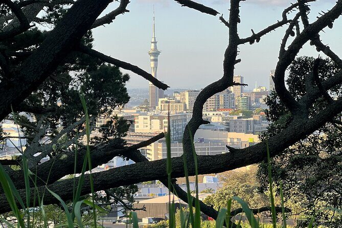 Auckland City Highlights and Hidden Gems Half Day Tour - The Experience and Practicalities