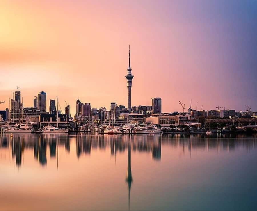 Auckland City Highlights Full Day Tour - Why Choose This Tour?