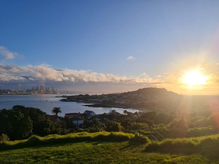 Auckland City Highlights Half Day Tour - Why This Tour Offers Great Value