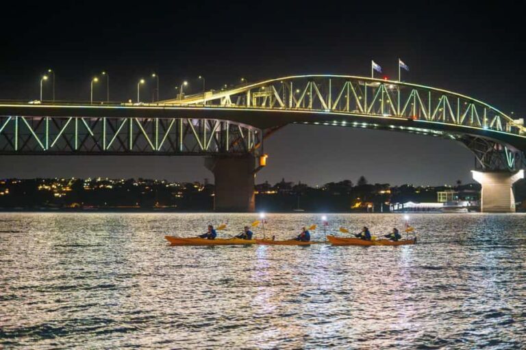 Auckland: City Lights Night Kayak Tour - Who Should Consider This Tour?