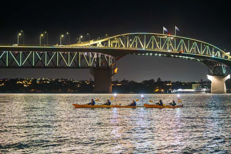 Auckland: City Lights Night Kayak Tour - Who Should Consider This Tour?