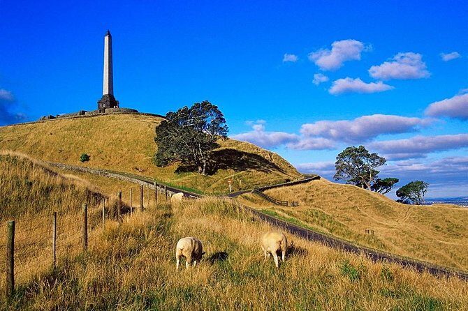 Auckland City Private Tour for Couples. Be chauffeur driven with added extras. - What Travelers Say About This Tour