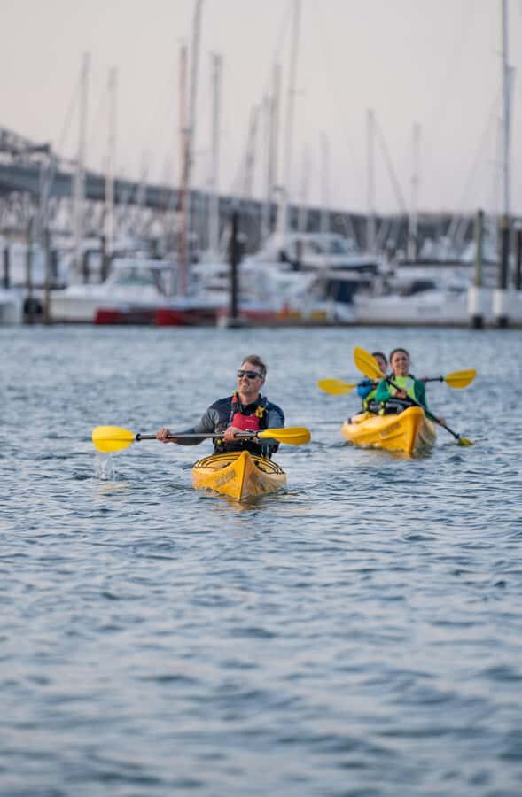 Auckland: City Scenes Kayak Tour - Why It’s Worth It