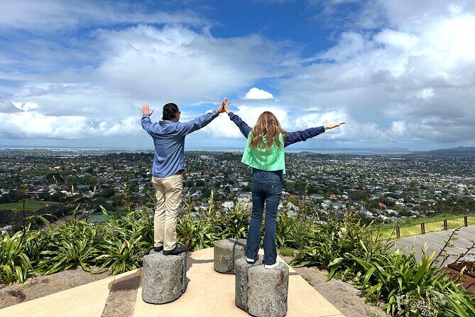 Auckland City Top Spots Half Day Private Tour - Who Should Consider This Tour?