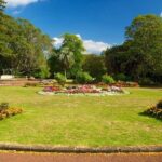 Auckland Coastal Experience - Small Group City & Beach Tour Incl. Wine Tasting - Why This Tour Offers Good Value