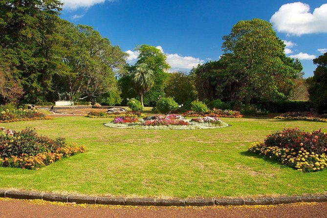 Auckland Coastal Experience - Small Group City & Beach Tour Incl. Wine Tasting - Why This Tour Offers Good Value