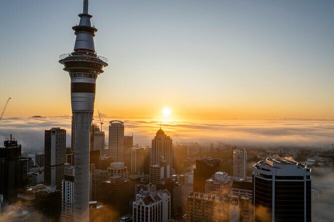 Auckland Full Day Attractions & Museums Tour - What the Tour Includes and Excludes
