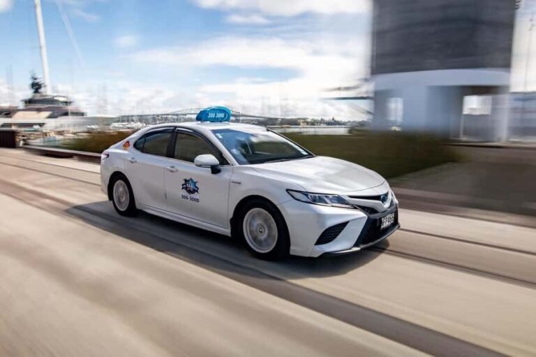 Auckland: GoGuided Auckland City Tour - Who Is This Tour Best For?