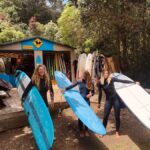 Auckland: Group Surfing Lesson with Muriwai Surf School - Why It’s a Great Choice for Travelers