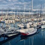 Auckland Half Day City Tour - Heart of Auckland - Transportation and Guide Experience