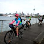 Auckland Half-Day Ebike Tour Excursion - What Makes This Tour Stand Out?