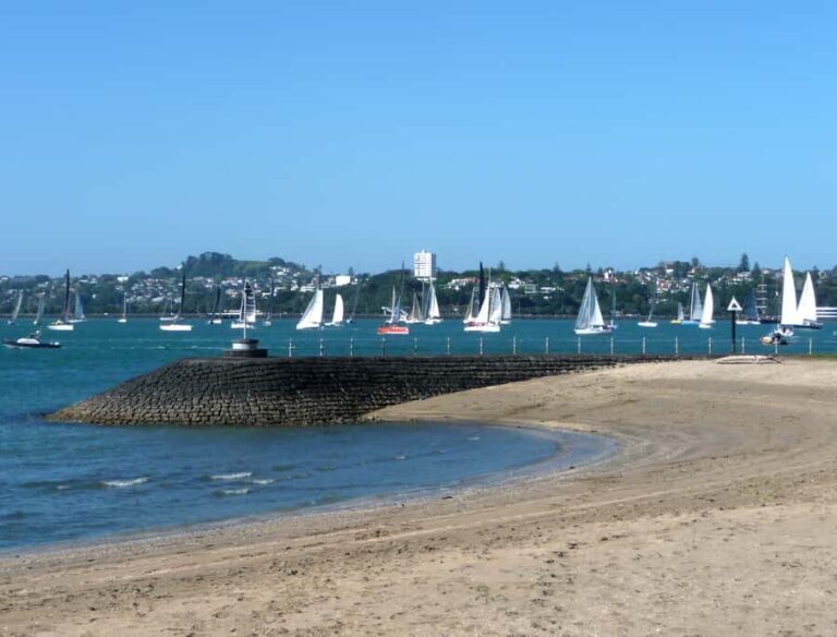 Auckland: Half-Day Private City Highlights Tour - The Itinerary in Detail