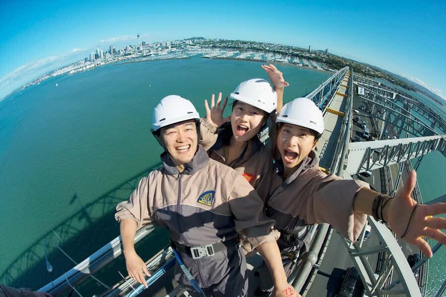 Auckland Harbor Bridge: Bridge Climb - Why This Tour Stands Out