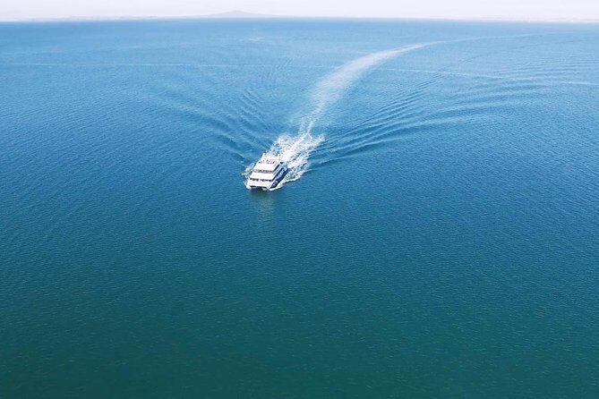 Auckland Harbour Cruise - Who Would Love This Tour?