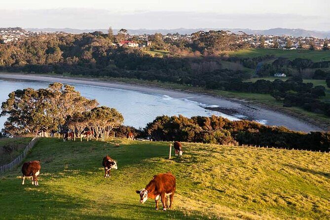 Auckland Hidden gem Tour - Exploring Shakespear Regional Park: A Coastal Treasure