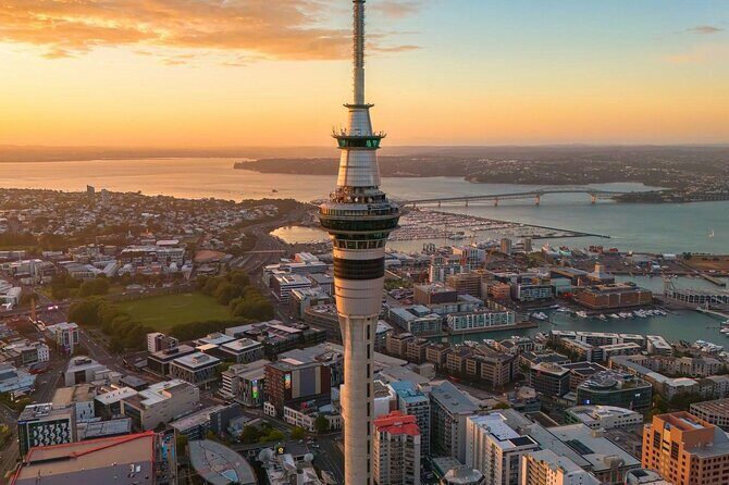 Auckland Highlight Attractions Small Group Tour - Final Thoughts: Is It Worth It?