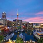 Auckland Highlight Fullday City Tour - What Makes This Tour Stand Out?
