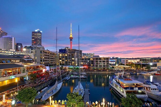 Auckland Highlight Fullday City Tour - What Makes This Tour Stand Out?