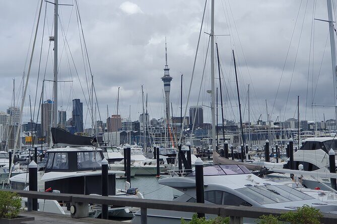 Auckland Highlights Full Day Guided Tour - The Practicalities