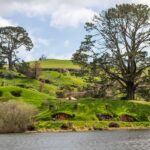Auckland: Hobbiton & Waitomo Caves Small-Group Tour & Lunch - Detailed Review of the Tour Experience