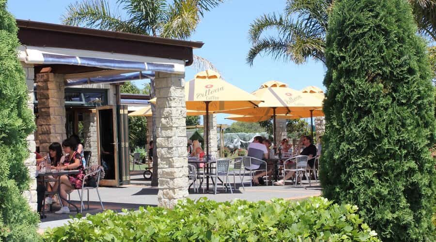 Auckland: Luxury Kumeu Wine Tour with Gourmet Lunch - The Itinerary Breakdown