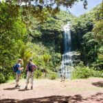 Auckland Maori Tour - The Practicalities: Transportation, Group Size, and Cost