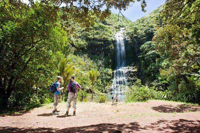 Auckland Maori Tour - The Practicalities: Transportation, Group Size, and Cost