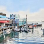 Auckland: Maritime Museum Entry Ticket - What You Can Expect at the Museum