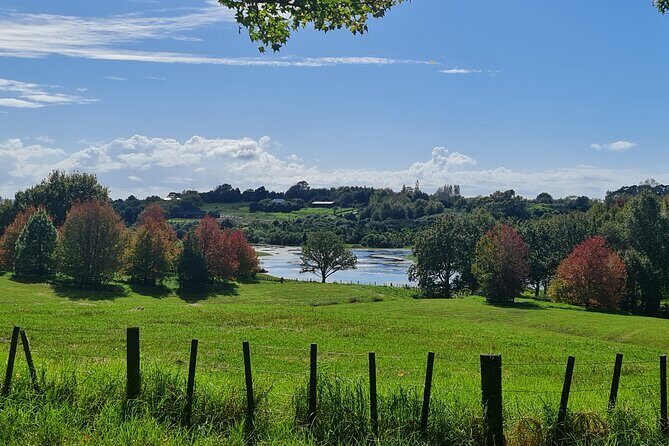 Auckland Nature Tour - Practical Details and What You Can Expect