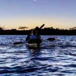 Auckland: Night Kayak Tour in Glowing Bioluminescent Waters - Practical Details and Tips for Travelers