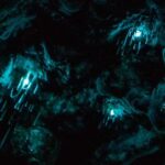 Auckland North Shore Glowworm Tour - An In-Depth Look at the Auckland North Shore Glowworm Tour