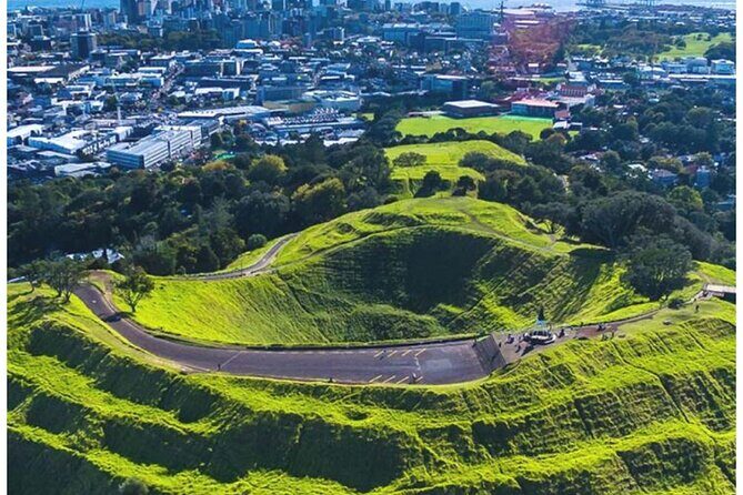 Auckland Private City Highlights Tour 5hrs Sightseeing Experience - Why This Tour Offers Great Value