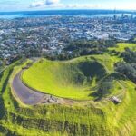 Auckland Private City Tour. Cruise port or Hotel pick up. - Who Will Appreciate This Tour?