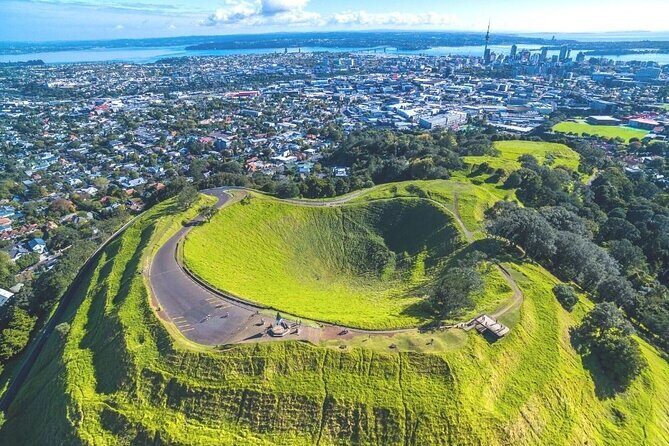 Auckland Private City Tour. Cruise port or Hotel pick up. - Who Will Appreciate This Tour?