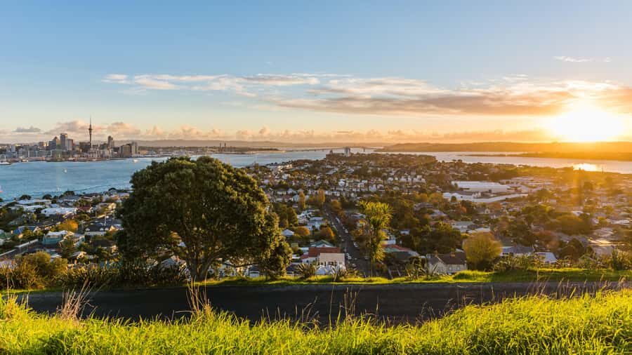 Auckland: Private City Tour with Mount Victoria and Mt. Eden - The Itinerary in Detail