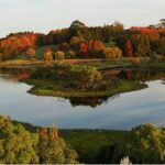 Auckland Private Custom Walking Tour with A Guide (Private Tour) - Duration and Flexibility