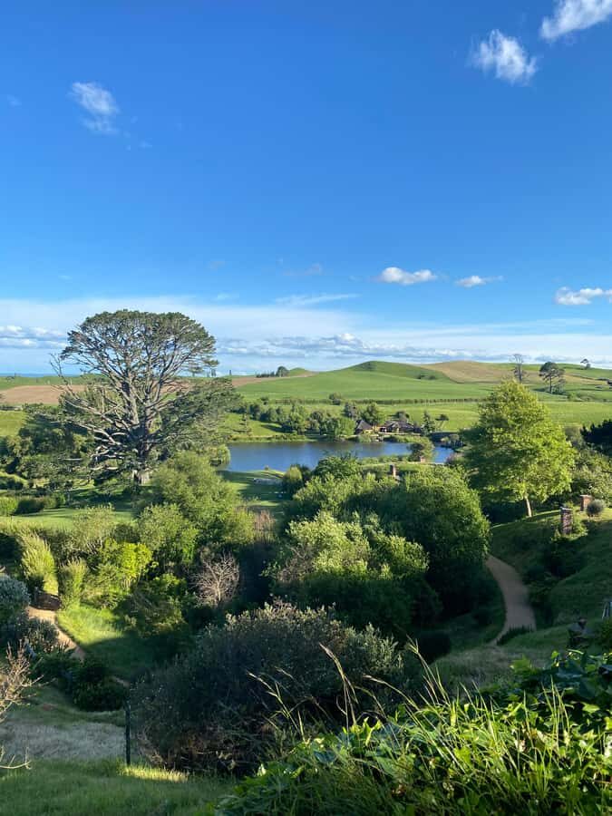 Auckland: Private Hobbiton Movie Set & Waitomo Caves Tour - What’s Included and What’s Not