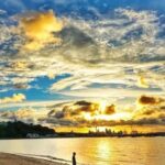 Auckland: Private Sightseeing Full or Half Day Guided Tour - The Practicalities: What You Need to Know