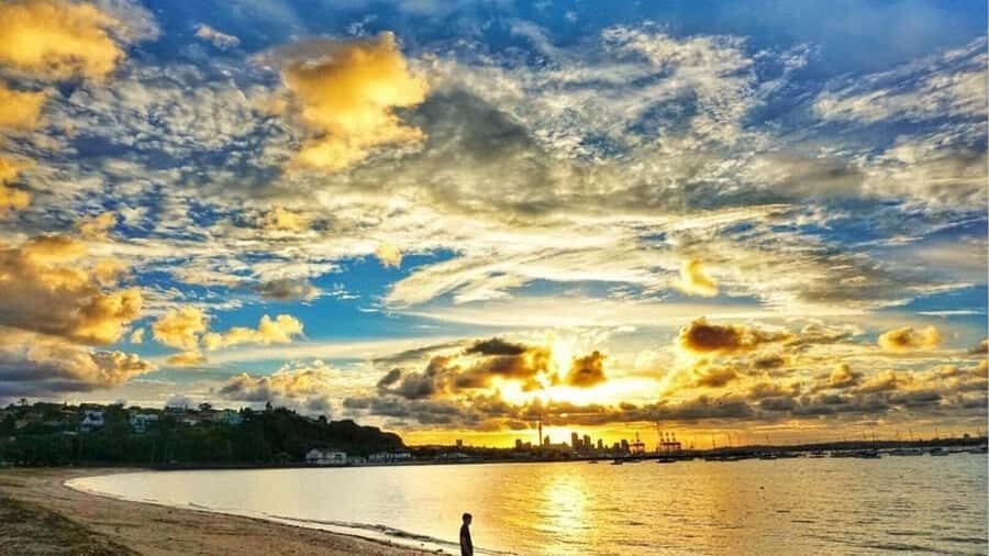 Auckland: Private Sightseeing Full or Half Day Guided Tour - The Practicalities: What You Need to Know