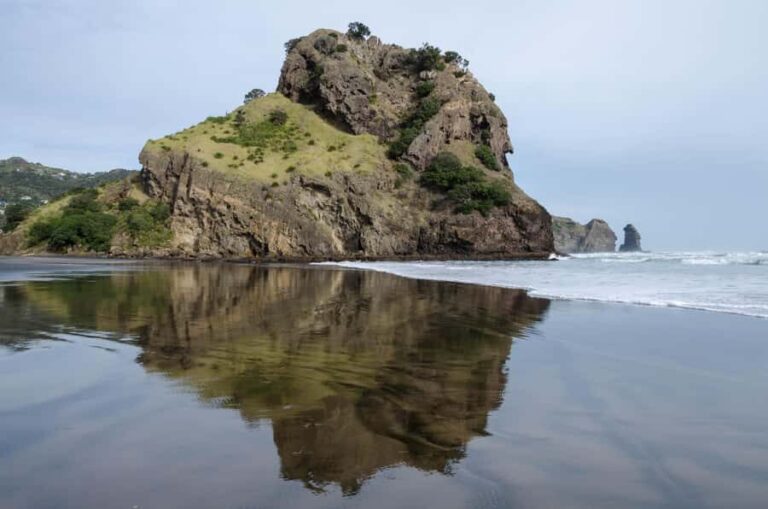 Auckland Private Tour: West Coast Wilderness & Piha Beach - What You Can Expect: An In-Depth Look at the Itinerary