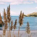 Auckland Region | Island Hopper Package Tour (2 Guests Minimum) - Authentic Experiences and What Travelers Say