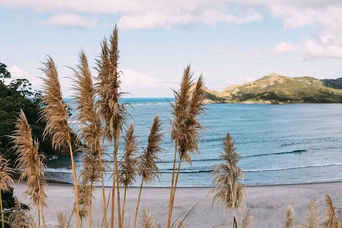 Auckland Region | Island Hopper Package Tour (2 Guests Minimum) - Authentic Experiences and What Travelers Say