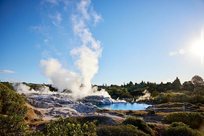 Auckland: Rotorua Mori Village, Waitomo Caves & Lunch - A Detailed Look at the Tour Experience