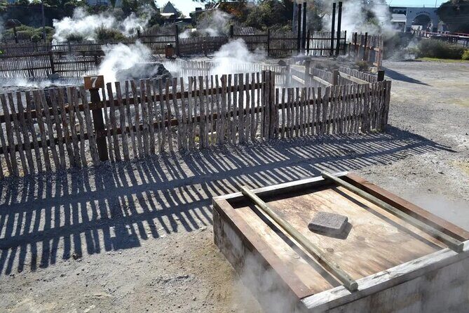 Auckland: Rotorua Te Puia & Maori Village Tour with Haka - Analyzing the Value: Price, Duration, and Experience