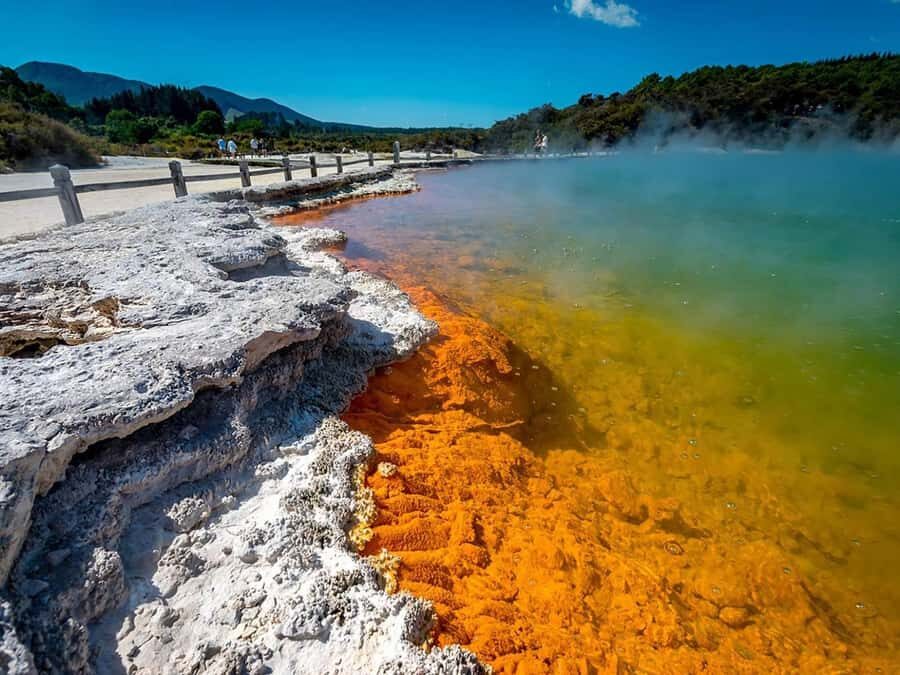 Auckland: Rotorua Wai-O-Tapu, Te Puia with Haka - Key Points