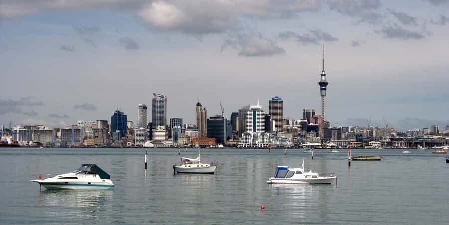 Auckland Scenic Half-Day City Sightseeing Tour - The Experience & Its Pacing