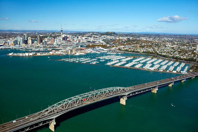 Auckland Shore Excursion: Half-Day Guided City Tour - Who This Tour Is Best For