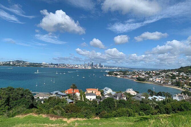 Auckland Sightseeing Half Day Tour - What’s Included and What’s Not?