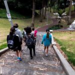 Auckland Small-Group Walking Tour with Treats - The Tasty Treats & Cultural Insights