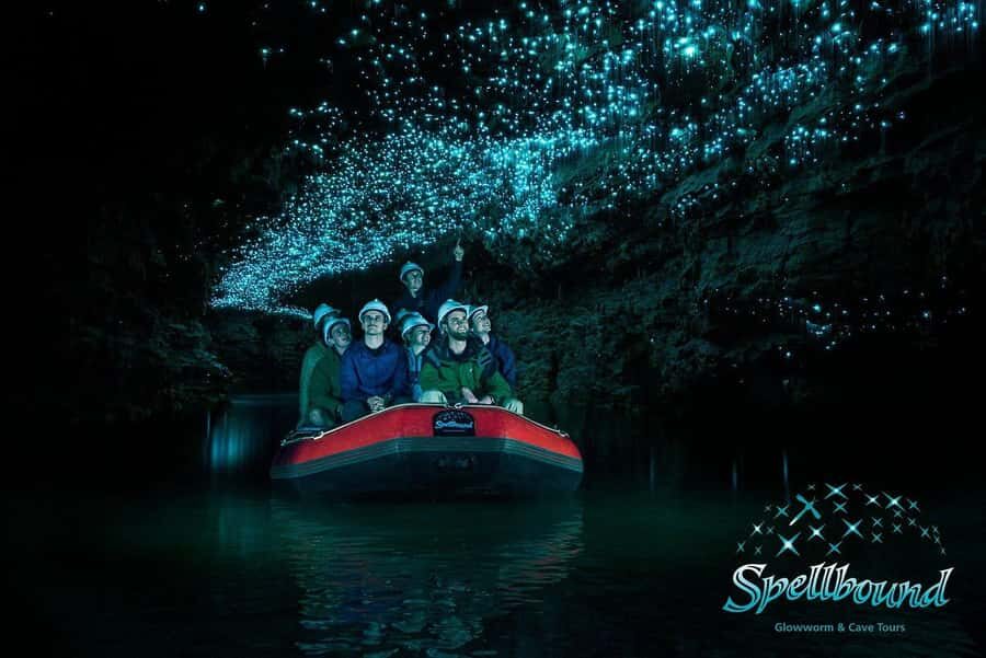 Auckland: Spellbound Glowworm Caves Explorer Tour - Detailed Breakdown of the Itinerary